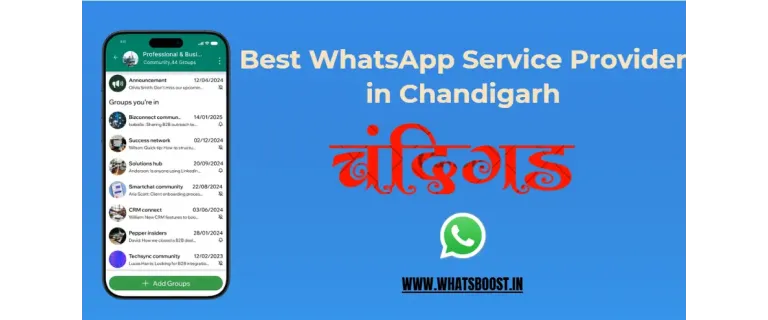 WhatsApp Wins: Your 2025 Guide for Chandigarh Businesses