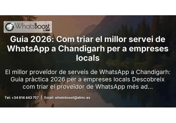 Guia 2026: Com triar el millor servei de WhatsApp a Chandigarh per a empreses locals