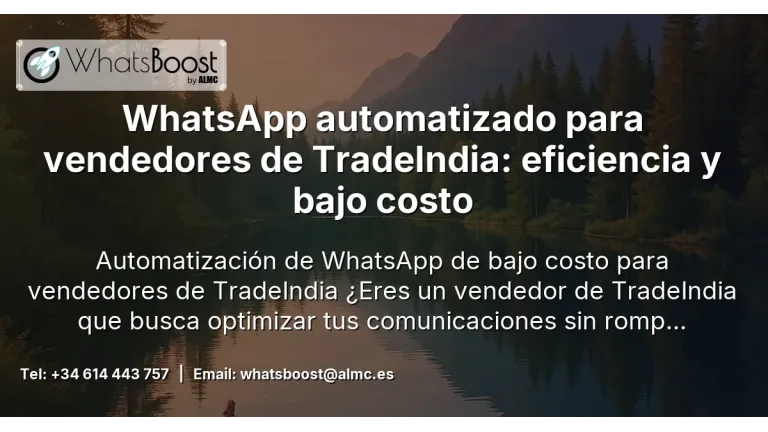 WhatsApp en el comercio: automatización asequible que impulsa tus ventas en España