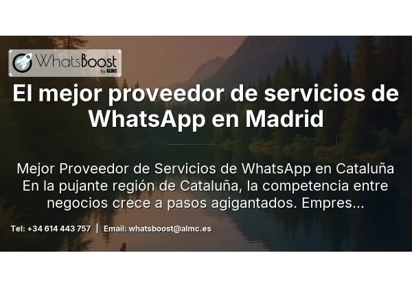 El mejor proveedor de servicios de WhatsApp en Madrid