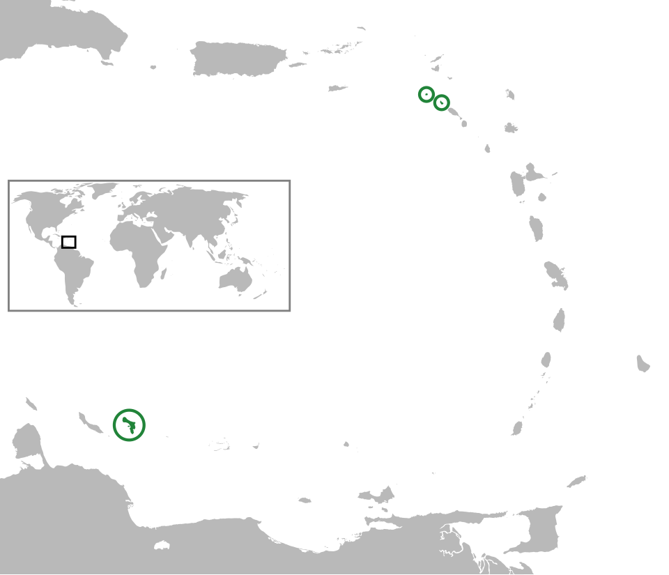 Flag of Bonaire, Saint Eustatius and Saba 