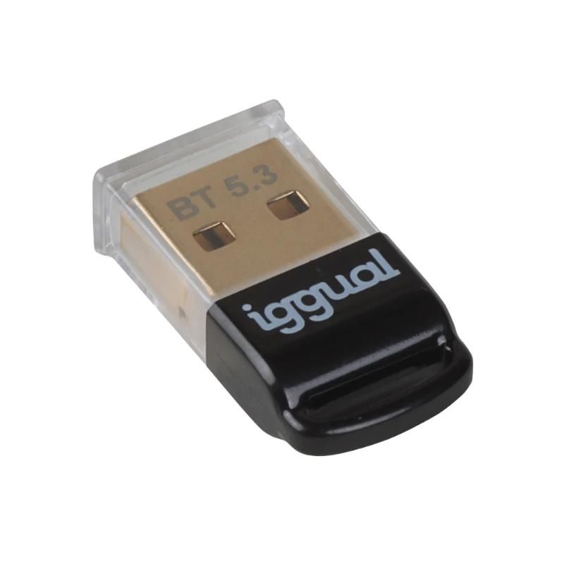 Adaptateur USB Bluetooth 5.3 iggual IGG319383